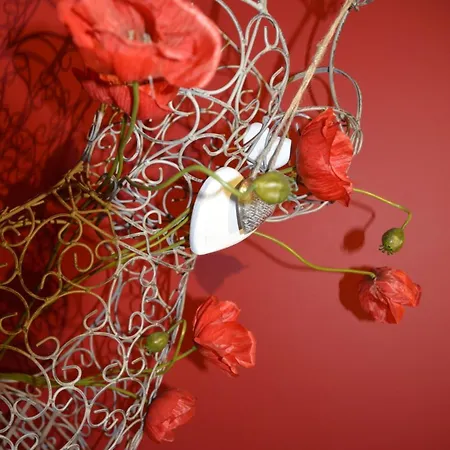 Couleur Nature, De Charme En Ardenne * Stoumont