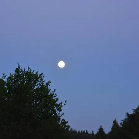 Couleur Nature, De Charme En Ardenne