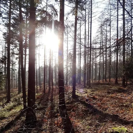 Apartamento Couleur Nature, De Charme En Ardenne